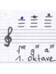 Jade 1. Oktave Carbon
