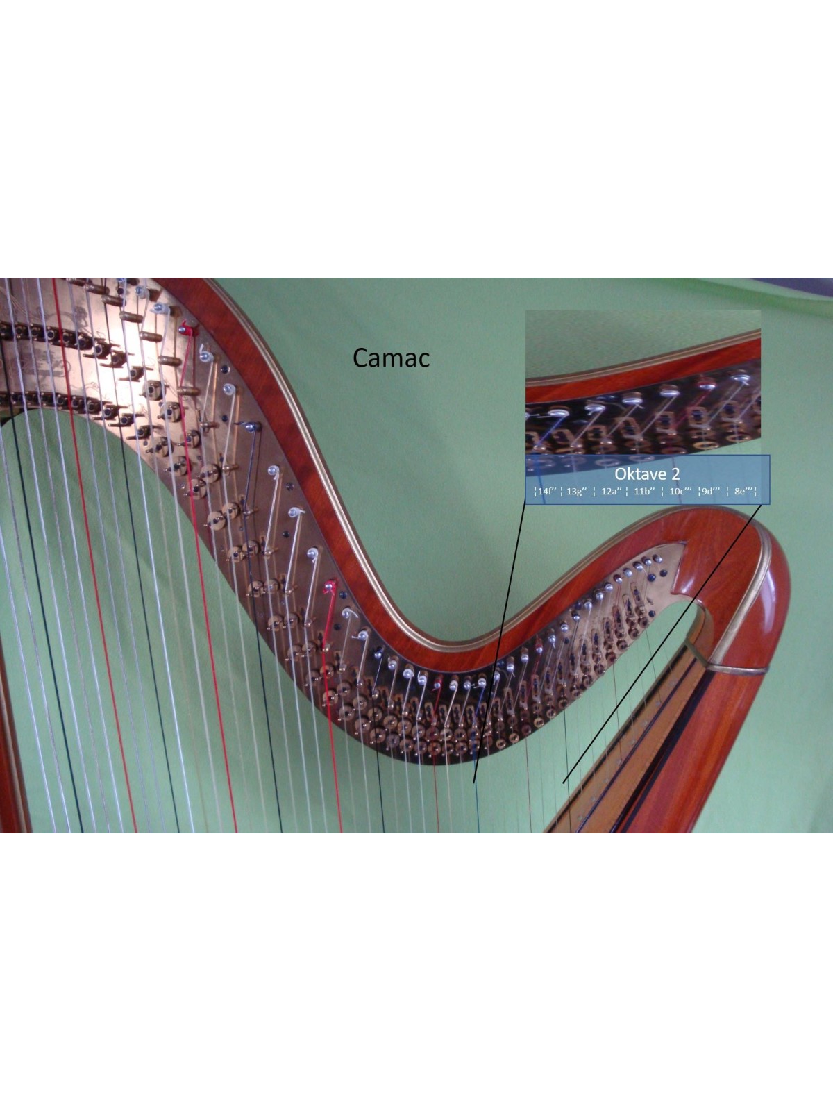 ganze 2. Oktave, Darmsaiten Camac Standard